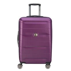 DELSEY Paris Comete 2.0 Hardside Expandable Luggage With Spinner Wheels, Purple, Checked-Medium 24 Inch