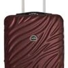 Delsey Paris Alexis Lightweight Luggage, Carry On Expandable Spinner Double Wheel Hardshell Suitcases With TSA Lock -Vera Bradley Shop 31ofsWlPEuL