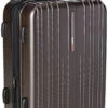 Traveler's Choice Tasmania 100% Pure Polycarbonate Expandable Spinner Luggage, Dark Brown, Carry-on 20-Inch -Vera Bradley Shop 41zJUVrSUiL