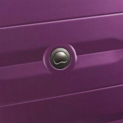 DELSEY Paris Comete 2.0 Hardside Expandable Luggage With Spinner Wheels, Purple, Checked-Medium 24 Inch -Vera Bradley Shop 61CZeZ84h1L