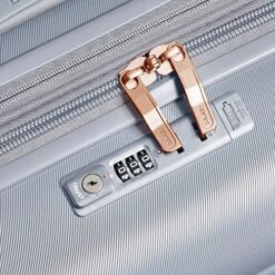 DELSEY Paris Cruise 3.0 Hardside Expandable Luggage With Spinner Wheels, Platinum, Carry On 21 Inch 18 DELSEY Paris Cruise 3.0 Hardside Expandable Luggage With Spinner Wheels, Platinum, Carry On 21 Inch -Vera Bradley Shop 61aHXlu8ExL